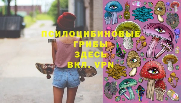 МДПВ Волосово
