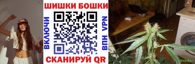 Канабис MAZAR  Купить закладки  Клинцы 